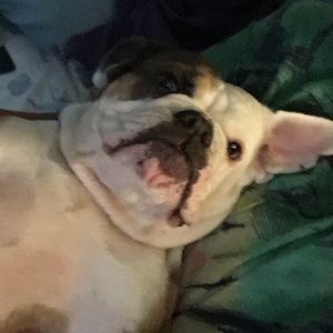 Meet your Posher, Keri